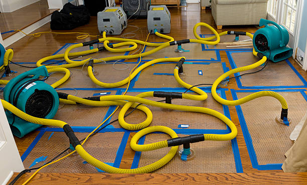 Professional Basement Flood Cleanup technician working in Granger, WA